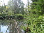 Beaver Dam Crossing, Greenlaw Brook, Limestone, Maine
