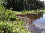 Beaver Dam Crossing, Madawaska Lake Twp, Maine