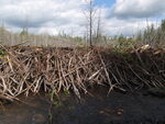 Beaver Dam Crossing, Unnamed Waterbody, T14 R6 WELS, Maine