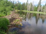 Beaver Dam Crossing, Unnamed Waterbody, T14 R6 WELS, Maine