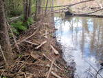 Beaver Dam Crossing, Unnamed Waterbody, T8 R11 WELS, Maine