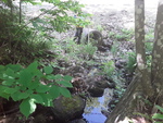Natural Falls Crossing, Buckfield, Maine