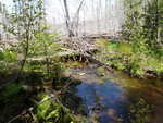 Beaver Dam Crossing, Bonny Brook, Grand Lake Stream Plt, Maine