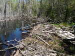 Beaver Dam Crossing, Bonny Brook, Grand Lake Stream Plt, Maine