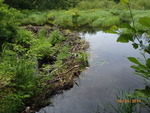 Beaver Dam Crossing, W Br Huntley Brook, Waite, Maine