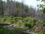 Beaver Dam Crossing, Unnamed Waterbody, Grand Lake Stream Plt, Maine
