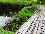 Beaver Dam Crossing, Fayette, Maine