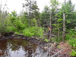 Beaver Dam Crossing, Dudley Twp, Maine