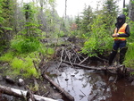 Beaver Dam Crossing, Dudley Twp, Maine