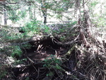 Beaver Dam Crossing, Wallagrass, Maine