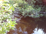 Beaver Dam Crossing, T15 R5 WELS, Maine