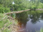 Beaver Dam Crossing, Fosters Brook, Trenton, Maine