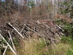 Beaver Dam Crossing, Unnamed Waterbody, Steuben, Maine