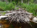 Beaver Dam Crossing, Unnamed Waterbody, Beddington, Maine