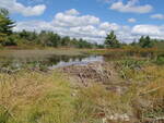 Beaver Dam Crossing, Unnamed Waterbody, Waltham, Maine