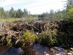 Beaver Dam Crossing, Unnamed Waterbody, Steuben, Maine