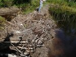 Beaver Dam Crossing, Unnamed Waterbody, Steuben, Maine