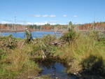 Beaver Dam Crossing, Unnamed Waterbody, Mariaville, Maine