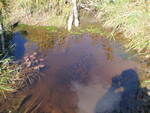 Beaver Dam Crossing, Unnamed Waterbody, Mariaville, Maine