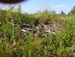 Beaver Dam Crossing, Unnamed Waterbody, T5 R17 WELS, Maine