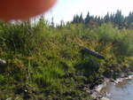 Beaver Dam Crossing, Unnamed Waterbody, T5 R17 WELS, Maine
