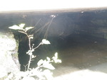 Beaver Dam Crossing, Unnamed Waterbody, T4 R17 WELS, Maine