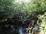 Beaver Dam Crossing, Unnamed Waterbody, T6 R18 WELS, Maine