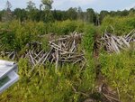 Beaver Dam Crossing, Unnamed Waterbody, T5 R20 WELS, Maine