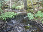 Natural Falls Crossing, Unnamed Waterbody, T7 R6 WELS, Maine