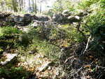 Debris Jam Crossing, Robinson Brk, Casco, Maine