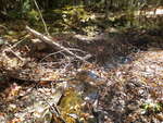 Debris Jam Crossing, Unknown, Harrison, Maine