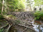 Beaver Dam Crossing, Unknown, North Yarmouth, Maine