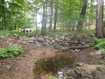 Debris Jam Crossing, Unknown, Casco, Maine