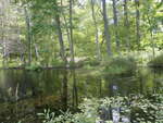 Beaver Dam Crossing, Unknown, Raymond, Maine