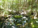 Natural Falls Crossing, unknown, Albany Twp, Maine