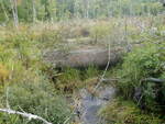 Debris Jam Crossing, Decker Brk, Casco, Maine