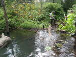 Beaver Dam Crossing, Greenlaw Brook, Limestone, Maine