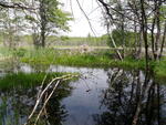 Beaver Dam Crossing, Unknown, Waterboro, Maine