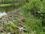 Beaver Dam Crossing, Unknown, Waterboro, Maine