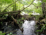 Debris Jam Crossing, Unknown, Limerick, Maine