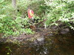 Debris Jam Crossing, Unknown, Limerick, Maine