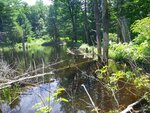 Beaver Dam Crossing, Unnamed Waterbody, Porter, Maine