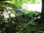 Beaver Dam Crossing, Jaybird Pond, Hiram, Maine