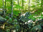 Beaver Dam Crossing, Jaybird Pond, Hiram, Maine