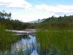 Debris Jam Crossing, Granger Pond, Denmark, Maine