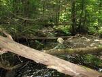 Debris Jam Crossing, Unknown, Palermo, Maine