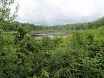 Culvert Crossing at Folsom Pond Rd, Lincoln, Maine
