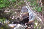 Culvert Crossing at Garland Road, Exeter, Maine