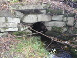 Culvert Crossing at Gordon Rd, Dayton, Maine
