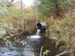 Culvert Crossing at Gordon Rd, Dayton, Maine